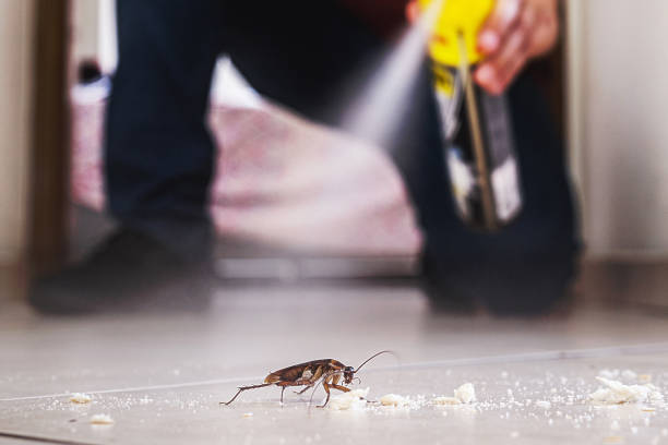 Reliable Desert Aire, WA Pest Control Solutions